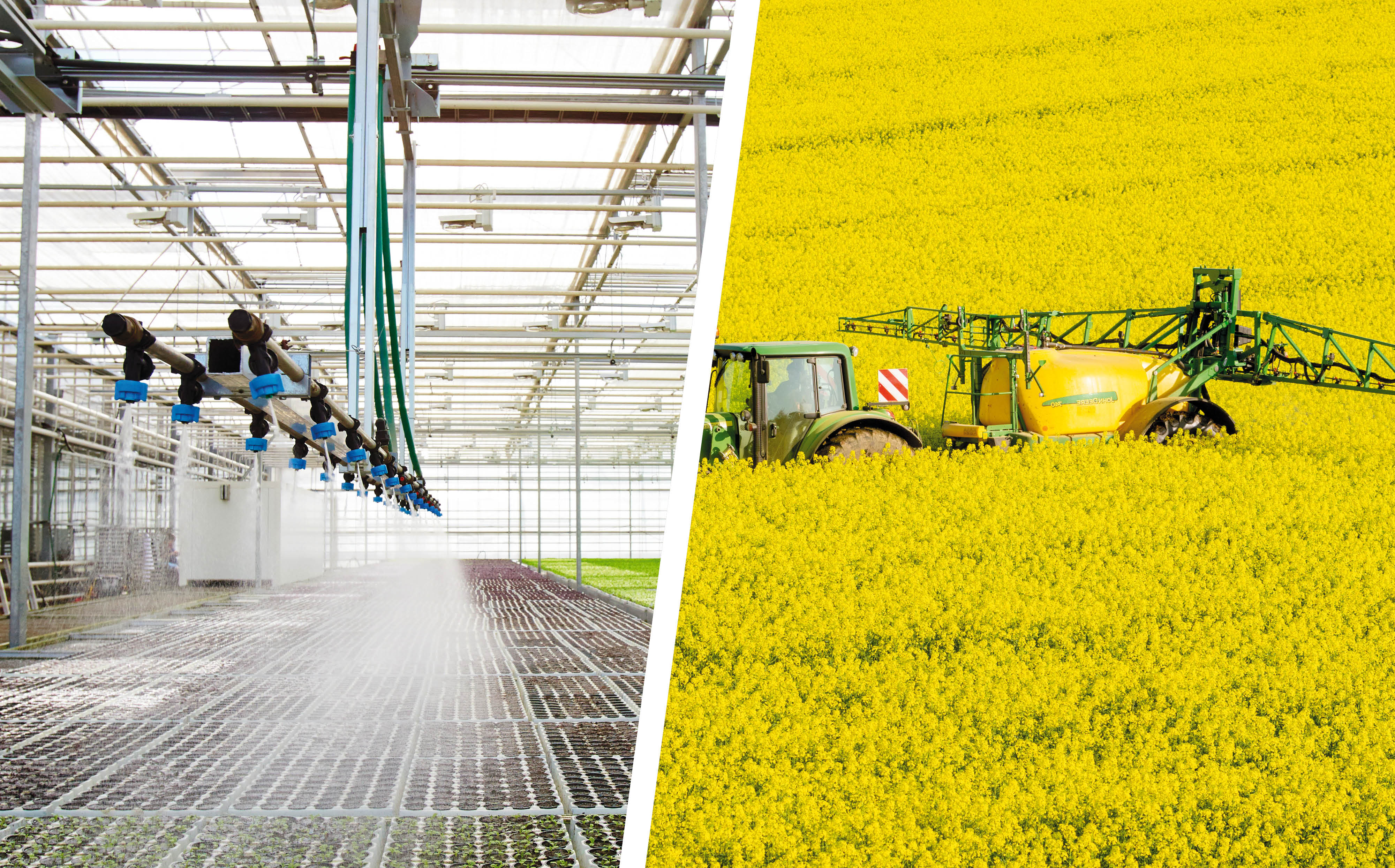 Landwirtschaft, Auf dem Land, Feld, Natur, Draußen